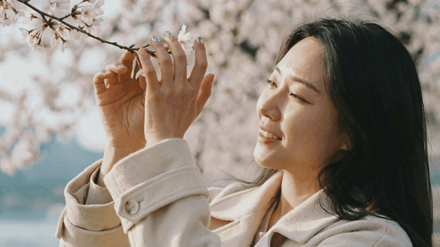 Woman admiring cherry blossoms