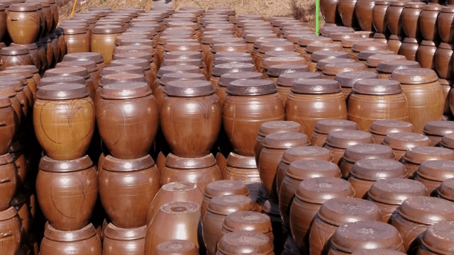 가지런히 진열되어 있는 전통 한국 항아리