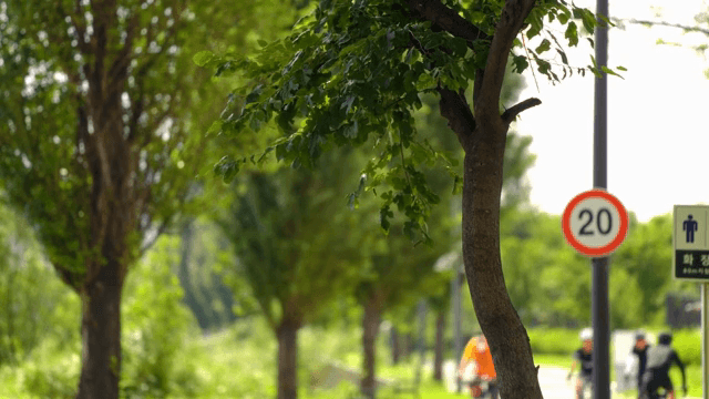 Cyclists riding on a sunny park path