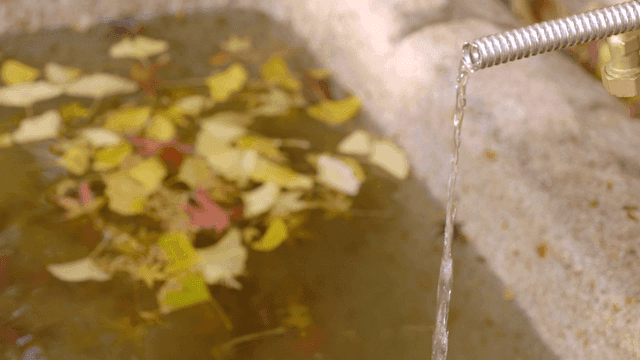 Water flowing into a stone basin with leaves