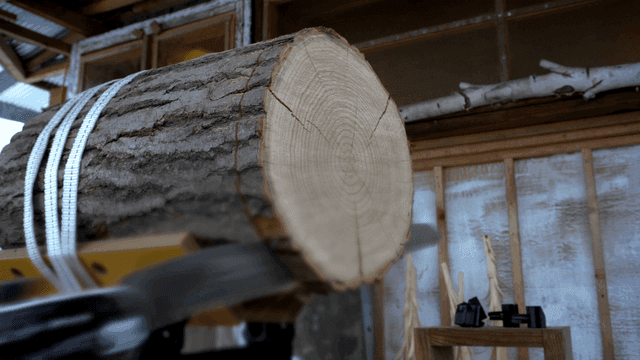 작업장에서 톱에 절단되는 통나무