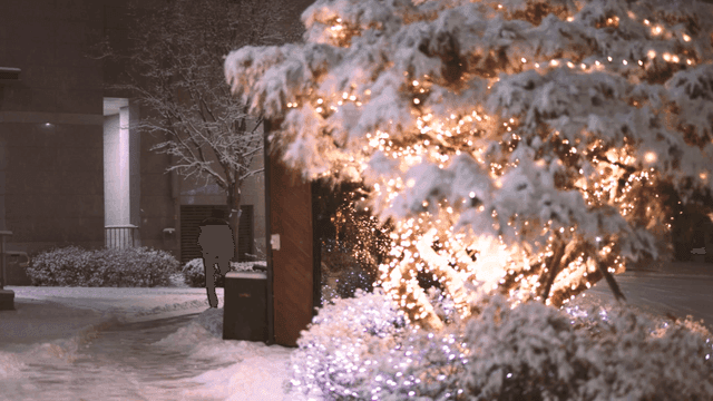 Christmas lights on snowy night