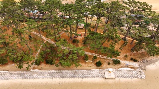 해안 숲 공원의 항공 뷰