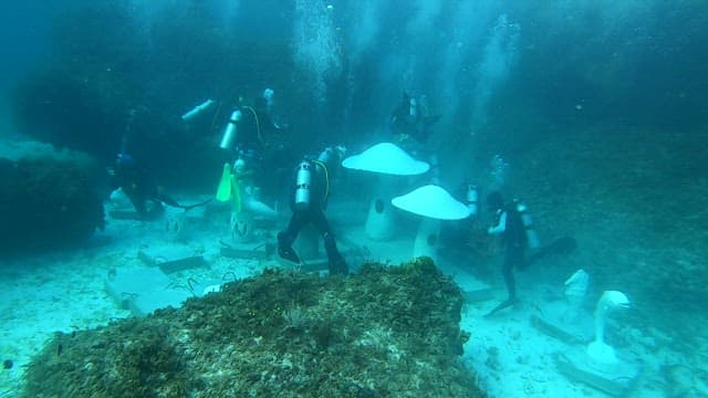 Divers setting up an underwater structure