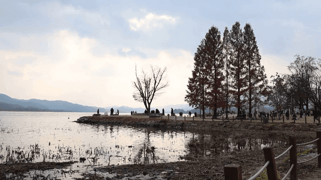 Lakeside park with people and trees