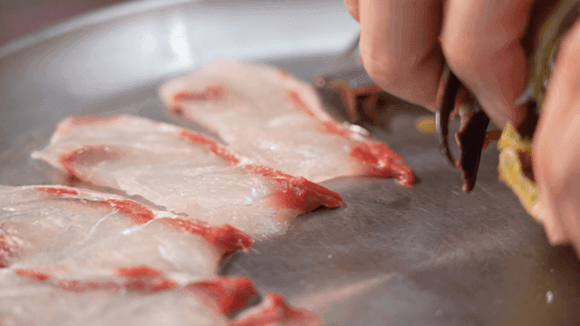 Fresh fish slices and crab on a plate