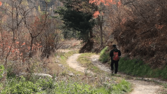 숲길을 걷는 사람