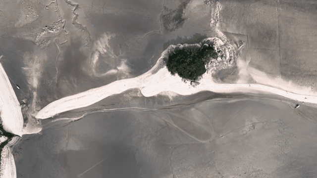 Aerial view of a small island with green trees
