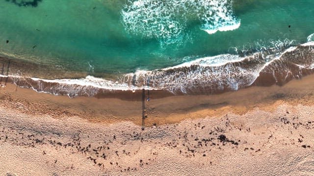 People having fun at a sandy beach