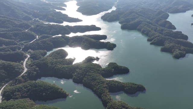 우거진 산림 언덕 사이의 평화로운 호수