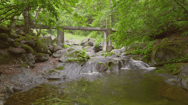 다리 아래로 흐르는 고요한 시냇물