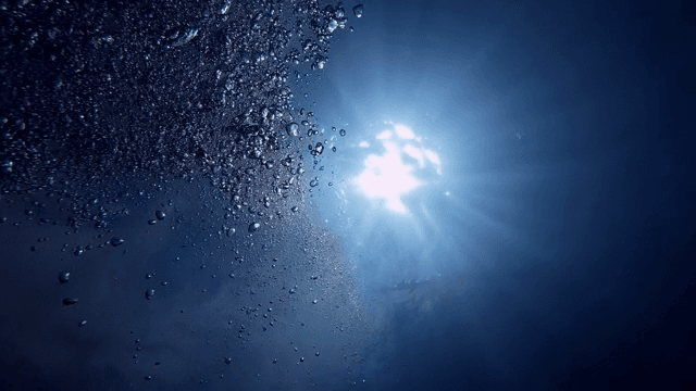 물속에서 태양을 향해 올라가는 거품