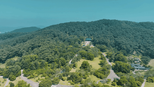 Green forest with traditional shrine