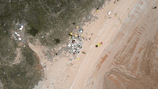 Beach littered with various debris
