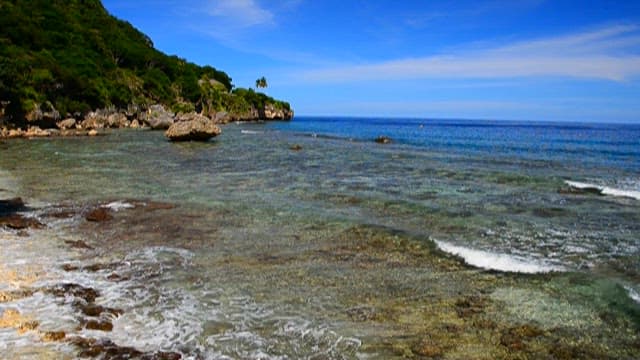 Serene Tropical Seascape with Clear Water