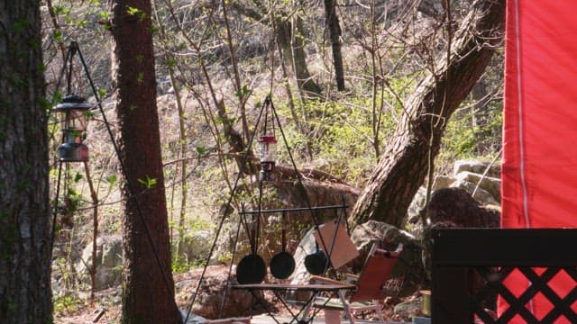 Person wandering through a forest campsite in broad daylight