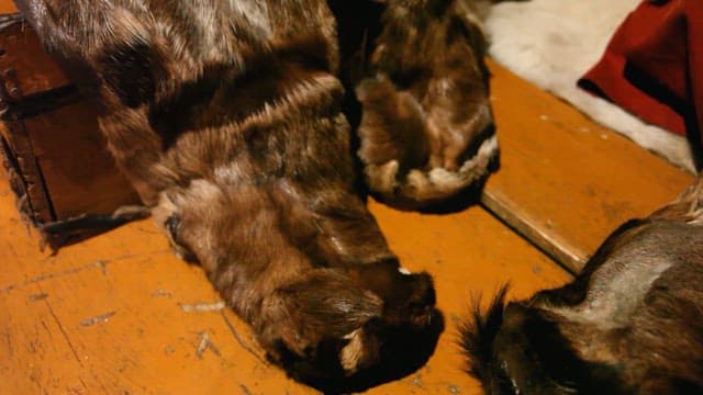 Furry Animal Skin