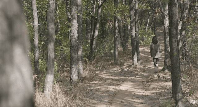 숲길을 걷는 사람