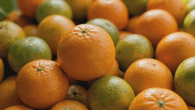 Pile of fresh tangerines