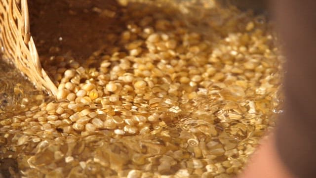 Sifting the soybeans in clean water through a wooden sieve
