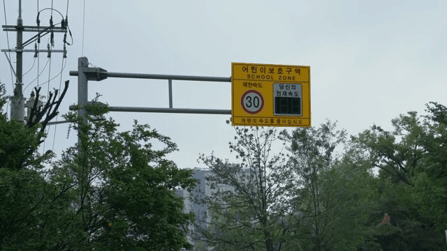 나무와 함께 있는 어린이 보호구역 속도 제한 표지판