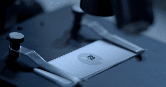 드롭퍼에서 나온 액체 샘플이 있는 현미경 슬라이드