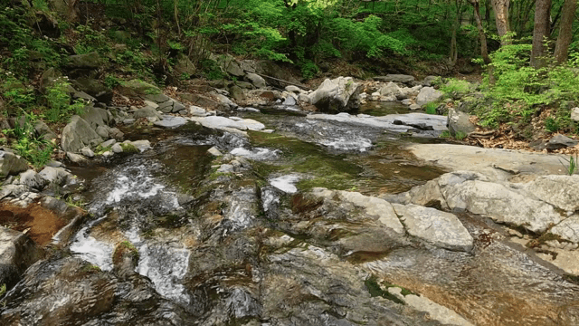 바위 위로 흐르는 고요한 시냇물