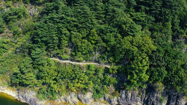 Scenic mountain path along the lush green forest