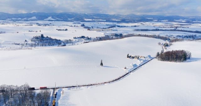 Snowy Rural Village and Trees