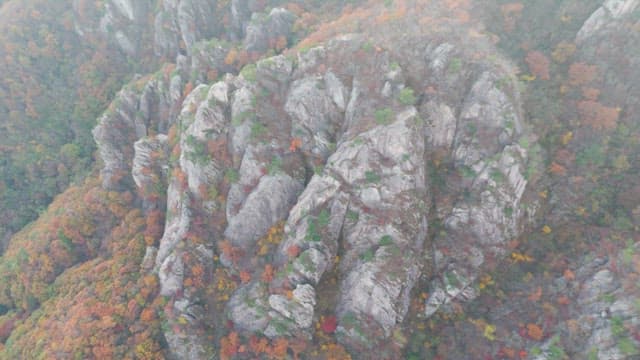 Autumn foliage on rocky mountain peaks