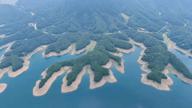 구불구불한 수로가 있는 푸른 풍경의 항공 뷰