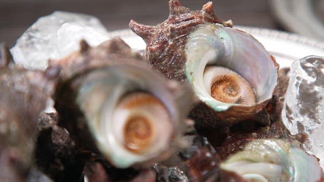 그릇에 가지런히 정리된 소라들