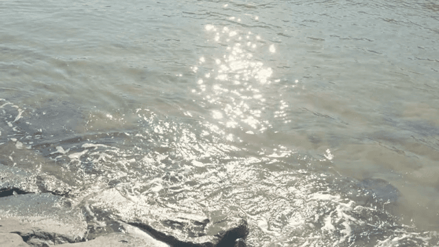Sunlight reflecting on the calm sea