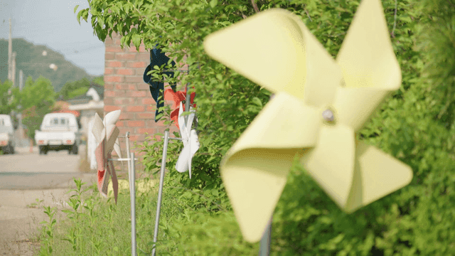 Colorful pinwheels in garden