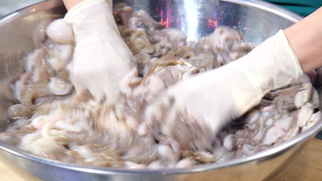 큰 대야에서 치대는 쭈꾸미