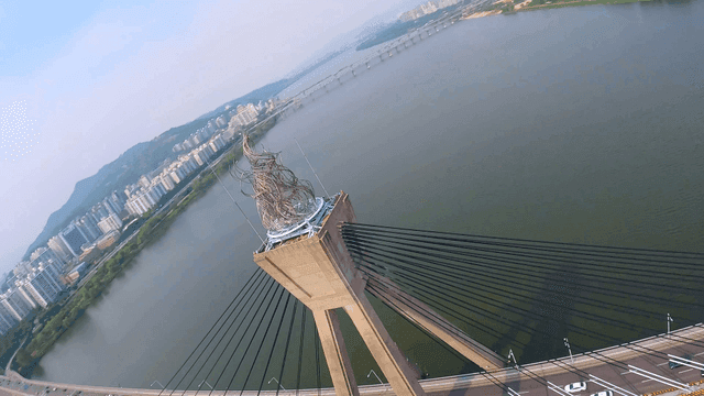 도시 스카이라인이 보이는 강 위의 다리