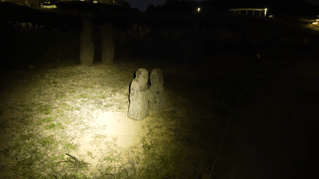 Stone statues illuminated at night