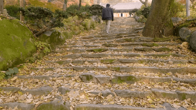 Man climbing stone steps leading to traditional Korean house.