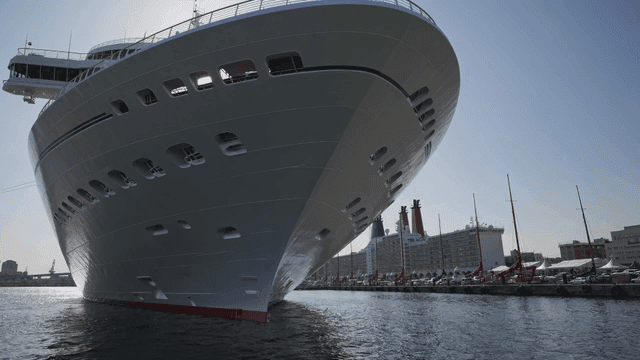 Large cruise ship docked at port.