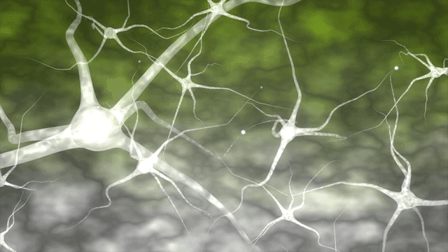 Neurons with glowing synapses