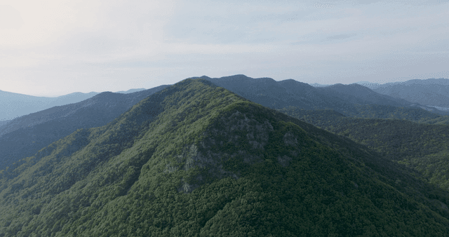 Lush green mountains under a clear sky