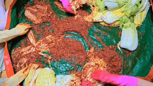 배추와 양념으로 김치 준비하는 사람들