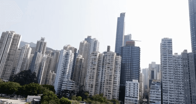 해안가의 높은 고층 건물들