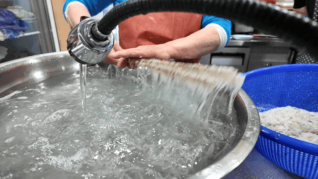 큰 대야에서 세척되는 신선한 실치들