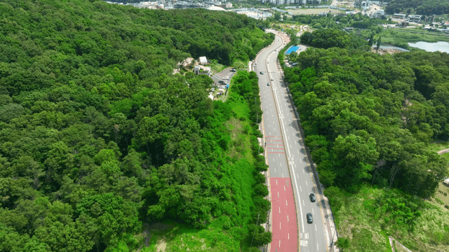 Winding road cutting through green forest
