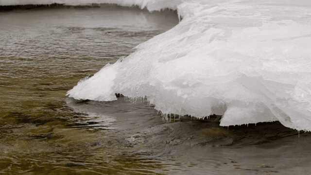 River flowing under a layer of ice