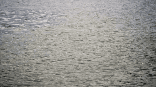 잔잔한 물결이 이는 물 표면