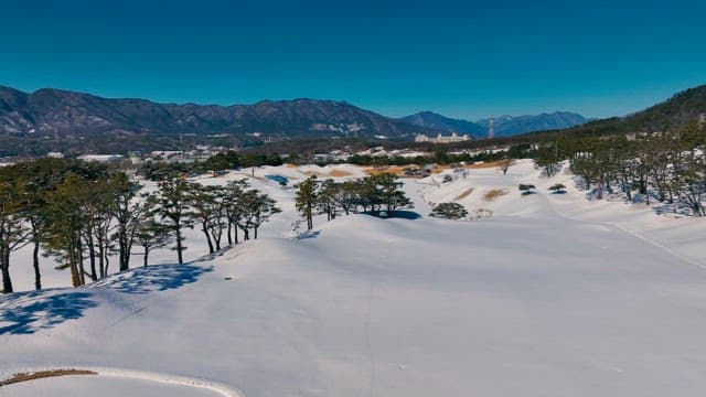 Snow-covered Landscape with Pine Trees and Mountains