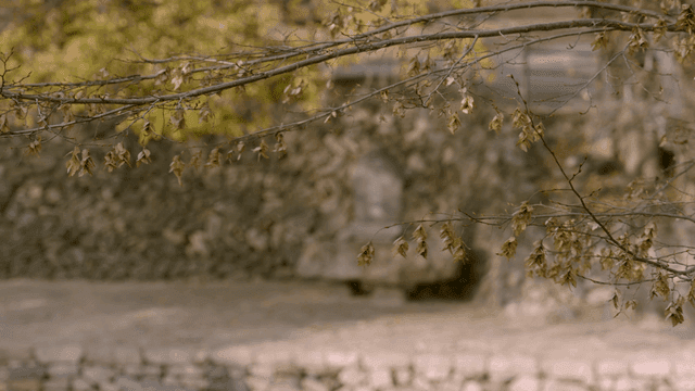 Stone monument and dry branches in autumn