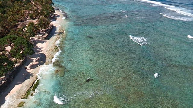 Tropical beach with clear turquoise water and lush greenery